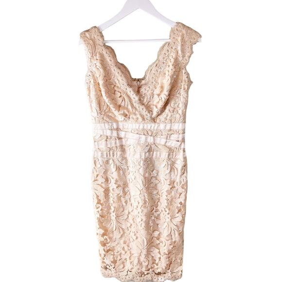 Tadashi Shoji Embroidered Lace Banded Waist Blush Primrose Dress 6 - Picture 3 of 10